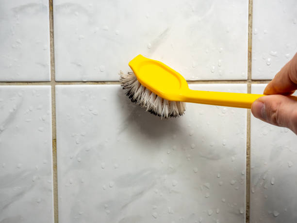 Best Health and Safety Mold Remediation in Strasburg, VA
