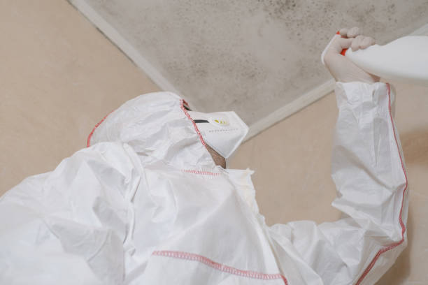 Best Emergency Mold Remediation in Strasburg, VA