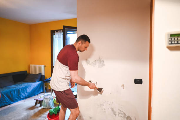 Best Post-Remediation Services in Strasburg, VA
